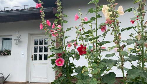 Ferienhaus Dornröschen - Foto 3