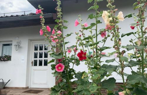 Ferienhaus Dornröschen - Foto 3