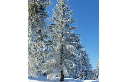 Holiday Apartment Schupp - Foto 63