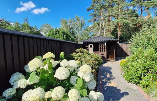 Domek pod lasem w miejscowości Rozogi- Mazury - Foto 11