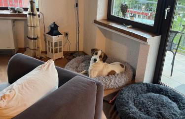 Eifel Urlaub mit Hunden Ferienhaus Schwalbennest Schalkenmehren - Foto 35