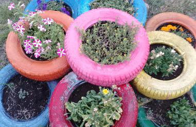 Agriturismo La Vecchia Fontana - Photo 8