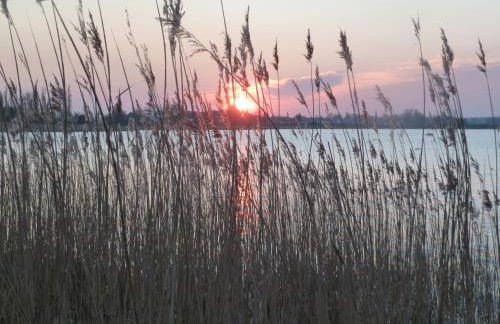 Haus Sturmschwalbe - Foto 34