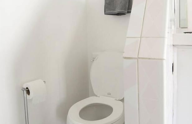 Spacious House on Melrose w Private Backyard Gym - Photo 18