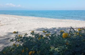 Casale Chiara & Giulia - Foto 33