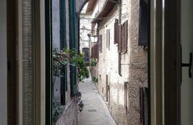 Kairos Montone - Foto 1