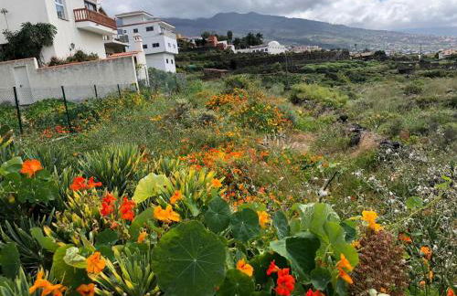 Residenz TraumBlick - Foto 28