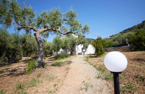 Villa Daniela Cefalù - Foto 80