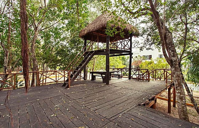 Departament & Pool and Parking Ariany - Foto 12