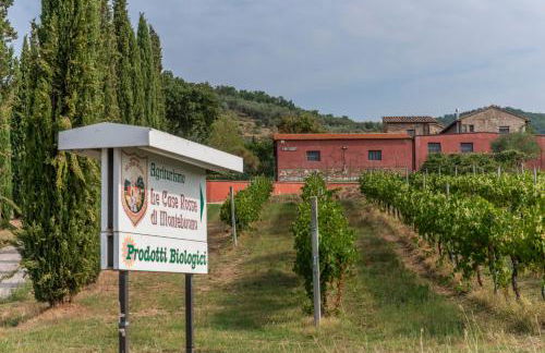 Agriturismo Le Case Rosse di Montebuono - Photo 29