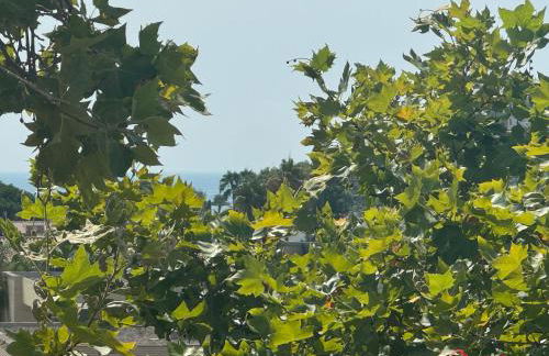 La Alboreda - Photo 30