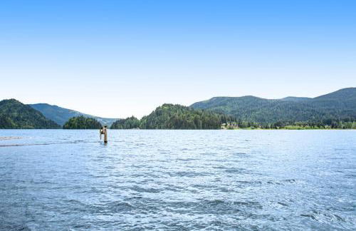 Silver King - Foto 21