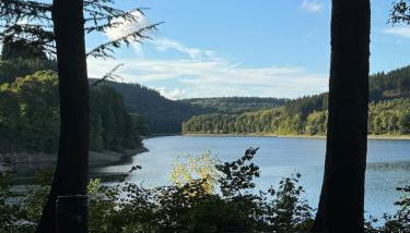Sauerland Schwalbenhaus in Frenkhausen - Foto 5