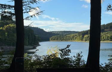 Sauerland Schwalbenhaus in Frenkhausen - Foto 5