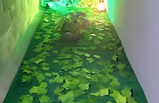 Laguna Lofts - Foto 31