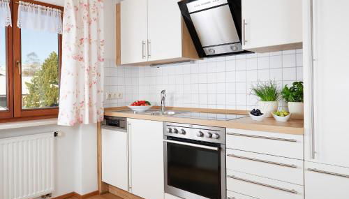 Hornblick FEWO- ab Mai freie Fahrt mit Bergbahnen - Foto 3