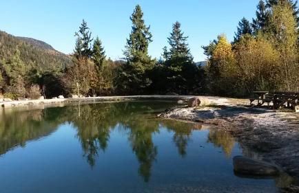 Appartamento Agritur nel Verde - Photo 39