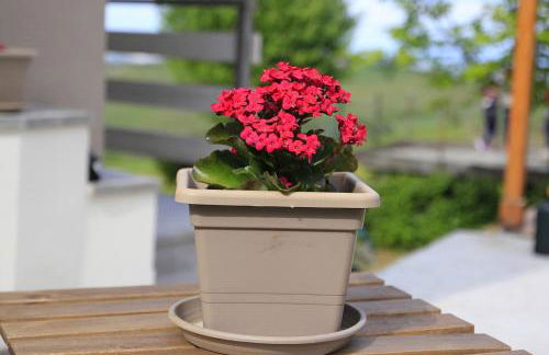 NiFe Tiny House - Secret Garden - Photo 23