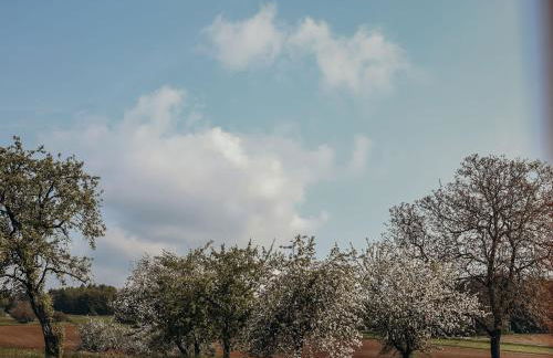 Frau Kunni - Café und Ferienwohnungen - Foto 18