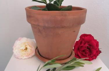 Makis Apartments - Foto 20