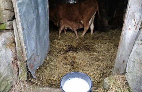 Aldeia de Moura Morta - Foto 32