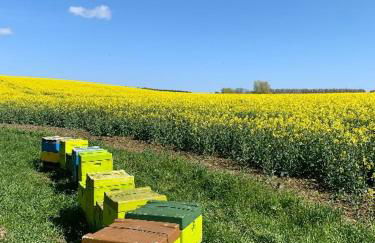 FEWO RENKEN - Foto 37