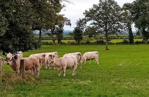 Logement dans la campagne nérisienne - Foto 11