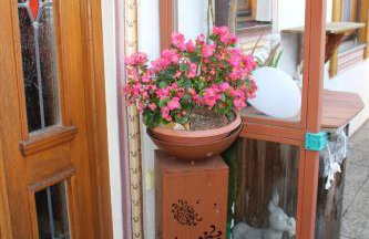 Haus Elfriede Schmid - Foto 43