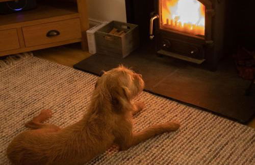 3 Bed in Lockerbie 89406 - Foto 10