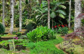 Quinta da Espadana - Photo 64