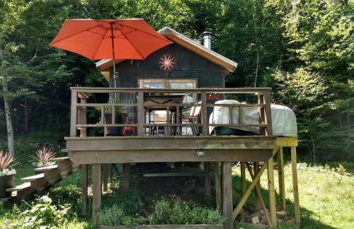 Cozy Unique Tiny Cabin with Beautiful Views in Livingston Manor, New York - Foto 1