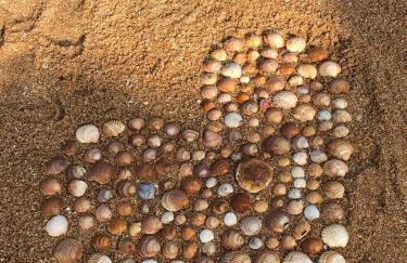 magnifique appartement sur la plage ... - Foto 32