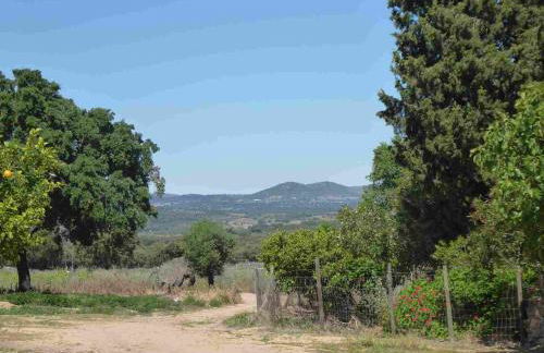 Herdade Joana Dias by PortusAlacer - Foto 21