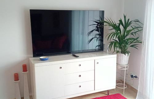 El estudio de las mariposas,sofa cama , cocina y baño - Photo 22