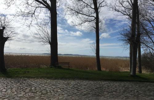Ferienwohnungen Polchow - direkt am Wasser - Foto 19