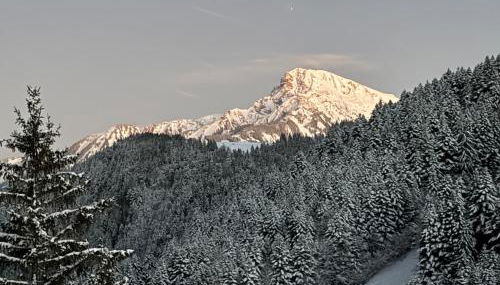 2-bed appt 20 mins from Morzine Portes du Soleil French Alps - Foto 2