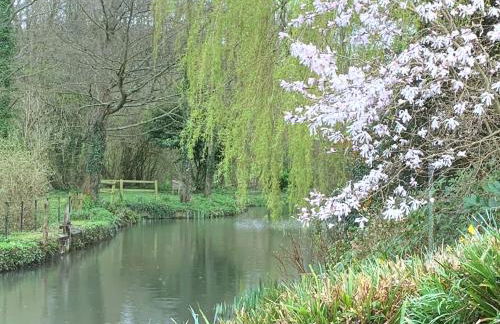 Little Norton Mill - Photo 21