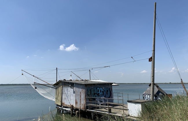 Casa delle Palme - Foto 37