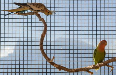 Oberschlichterhof - Foto 17