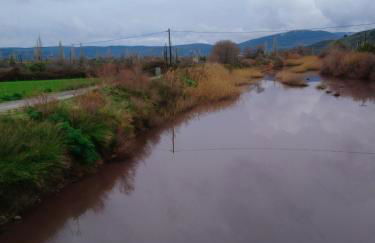 Sol's Place - Photo 28