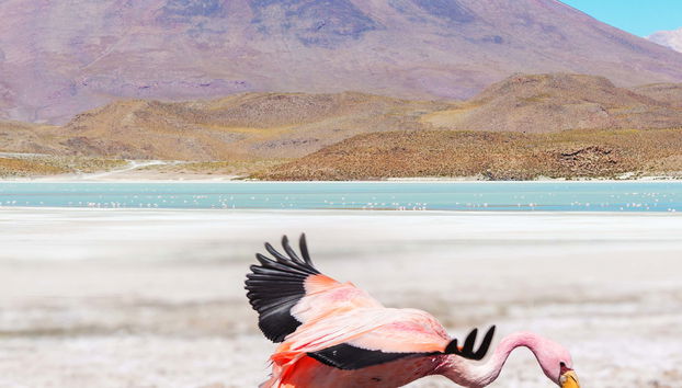 Escursione alla laguna del Toro