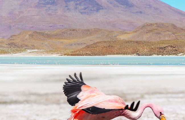 Day Trip to the Toro Lagoon - Photo 1