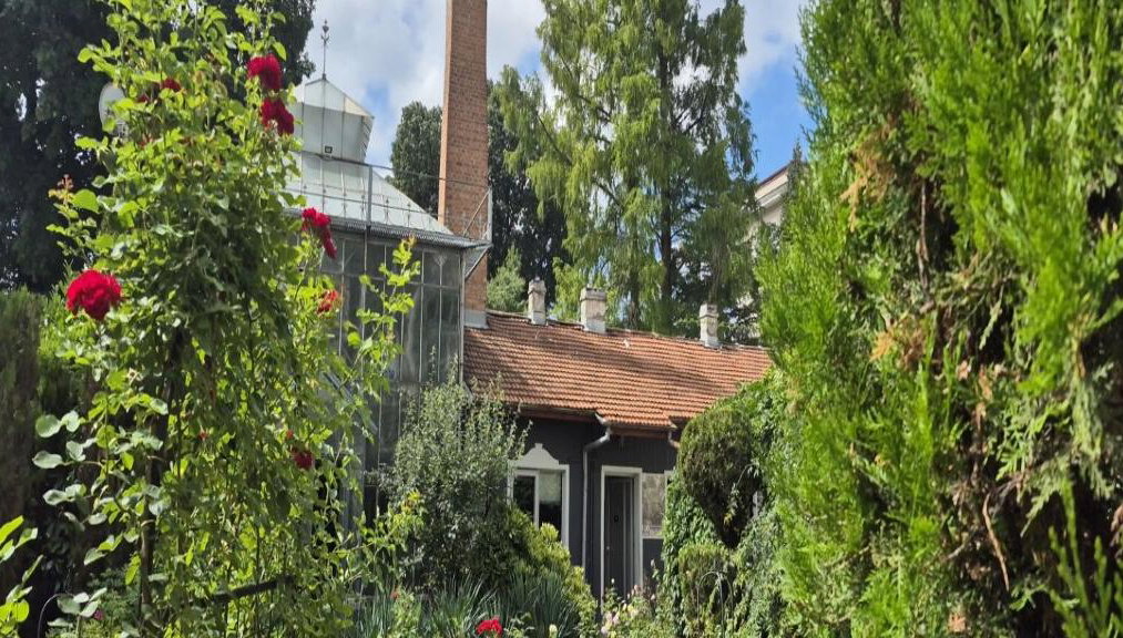 Bulgarian Food & History Tour in Sofia – Includes Vintage Tram Ride - Foto 1