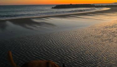 Sète en couleurs - Foto 3