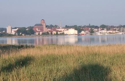 Fewo Usedom Peene Idyll - Foto 39