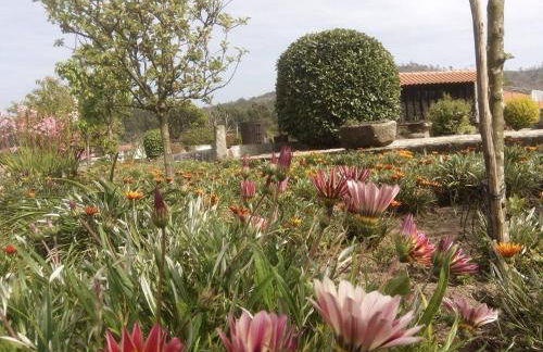 Casa do Souto - Foto 31