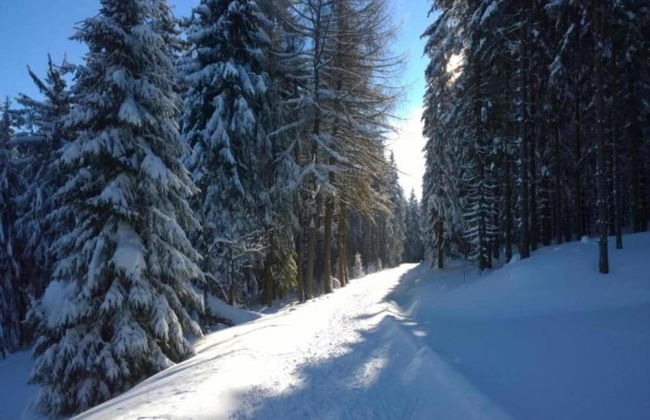 Gorgeous Holiday Home in Altenfeld Thuringia - Foto 53