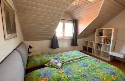 Ferienwohnung Regina mit traumhafter Aussicht - Foto 14