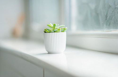 Stridingedge - 3 Bedroom 5 beds Sleeps 6 Ideal For Contractors - Foto 12