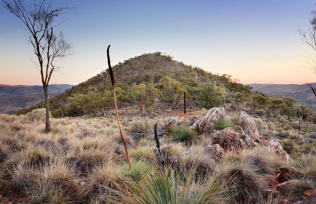 Pichi Richi Park - Foto 13